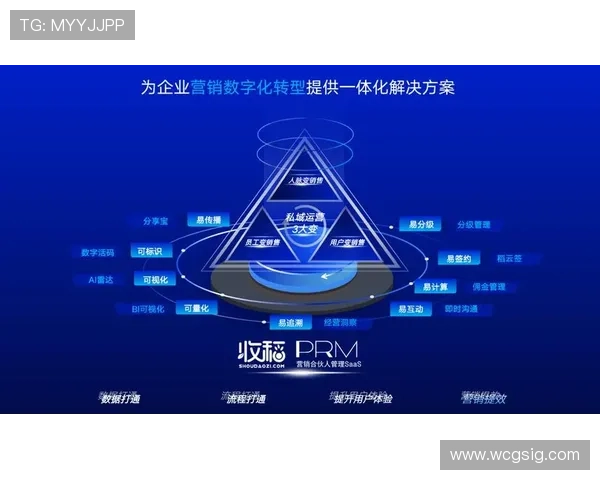 盛大娱乐：深耕用户体验，推动数字娱乐产业持续健康发展的战略规划